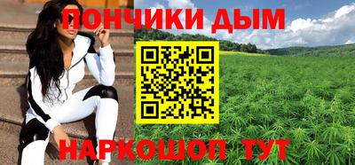 крисы Бийск