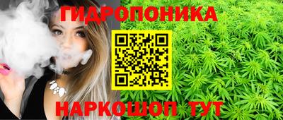 крисы Бийск