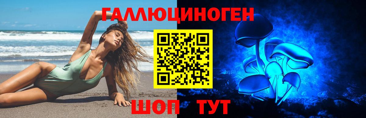 Кизляр  Псилоцибиновые грибы MAGIC MUSHROOMS  Галлюциногенные грибы мухоморы  Вход с VPN 
